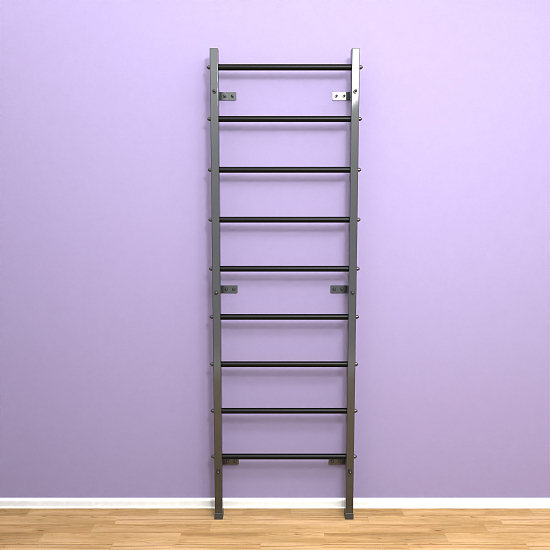 картинка Шведская стенка "LittleSport" (черный*черный) от магазина Лазалка