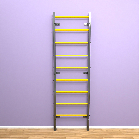 картинка Шведская стенка "LittleSport" (черный*желтый) от магазина Лазалка